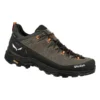 Salewa Alp Trainer 2 GTX Men's